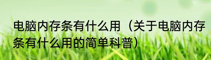 电脑内存条有什么用（关于电脑内存条有什么用的简单科普）