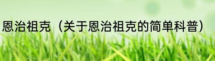 恩治祖克（关于恩治祖克的简单科普）
