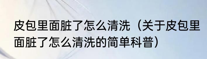 皮包里面脏了怎么清洗（关于皮包里面脏了怎么清洗的简单科普）