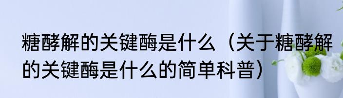 糖酵解的关键酶是什么（关于糖酵解的关键酶是什么的简单科普）