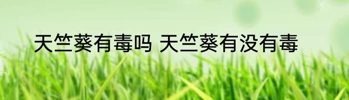 天竺葵有毒吗 天竺葵有没有毒