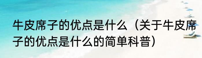 牛皮席子的优点是什么（关于牛皮席子的优点是什么的简单科普）
