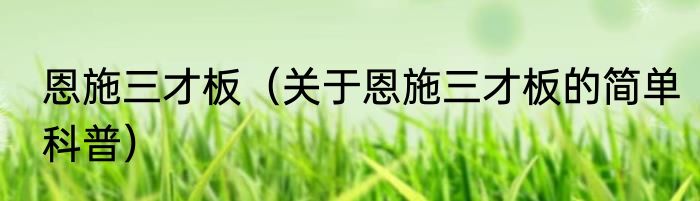 恩施三才板（关于恩施三才板的简单科普）