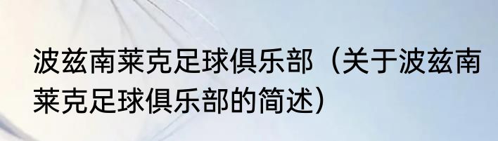 波兹南莱克足球俱乐部（关于波兹南莱克足球俱乐部的简述）