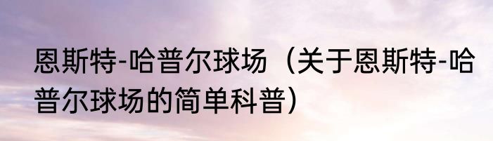 恩斯特-哈普尔球场（关于恩斯特-哈普尔球场的简单科普）