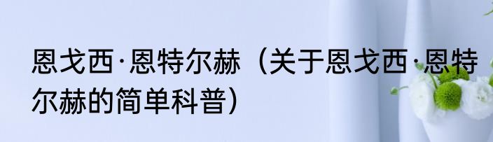 恩戈西·恩特尔赫（关于恩戈西·恩特尔赫的简单科普）