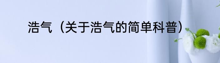 浩气（关于浩气的简单科普）