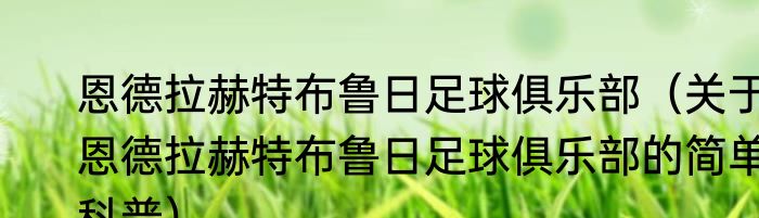 恩德拉赫特布鲁日足球俱乐部（关于恩德拉赫特布鲁日足球俱乐部的简单科普）