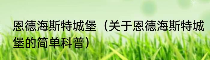 恩德海斯特城堡（关于恩德海斯特城堡的简单科普）