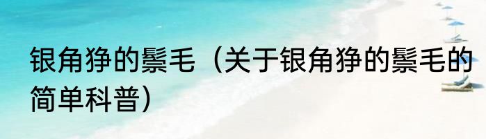 银角狰的鬃毛（关于银角狰的鬃毛的简单科普）
