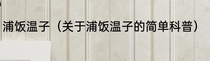 浦饭温子（关于浦饭温子的简单科普）