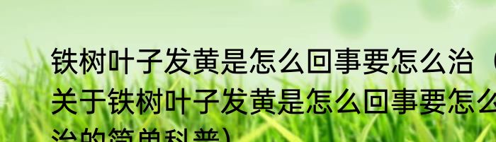 铁树叶子发黄是怎么回事要怎么治（关于铁树叶子发黄是怎么回事要怎么治的简单科普）