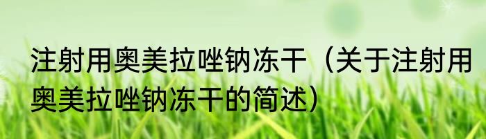 注射用奥美拉唑钠冻干（关于注射用奥美拉唑钠冻干的简述）