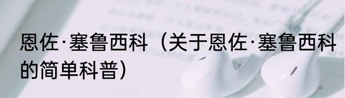 恩佐·塞鲁西科（关于恩佐·塞鲁西科的简单科普）