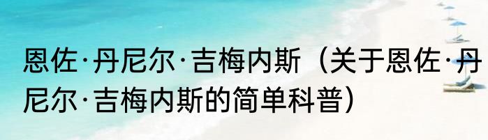 恩佐·丹尼尔·吉梅内斯（关于恩佐·丹尼尔·吉梅内斯的简单科普）