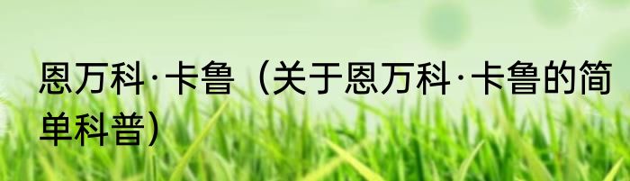 恩万科·卡鲁（关于恩万科·卡鲁的简单科普）