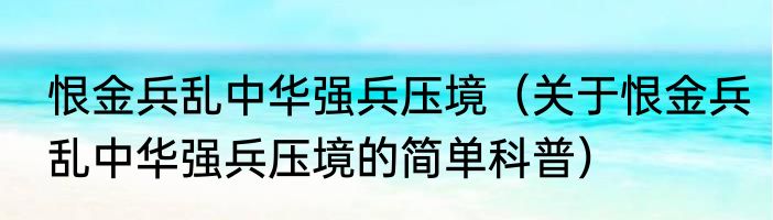 恨金兵乱中华强兵压境（关于恨金兵乱中华强兵压境的简单科普）