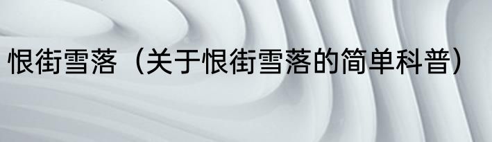 恨街雪落（关于恨街雪落的简单科普）