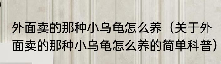 外面卖的那种小乌龟怎么养（关于外面卖的那种小乌龟怎么养的简单科普）
