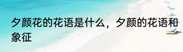 夕颜花的花语是什么，夕颜的花语和象征