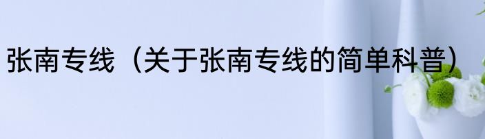 张南专线（关于张南专线的简单科普）