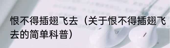 恨不得插翅飞去（关于恨不得插翅飞去的简单科普）