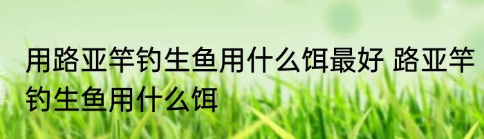 用路亚竿钓生鱼用什么饵最好 路亚竿钓生鱼用什么饵