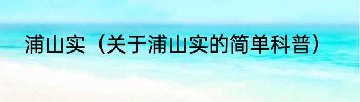浦山实（关于浦山实的简单科普）