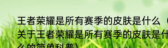 王者荣耀是所有赛季的皮肤是什么（关于王者荣耀是所有赛季的皮肤是什么的简单科普）