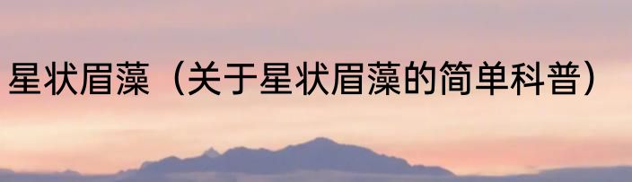 星状眉藻（关于星状眉藻的简单科普）