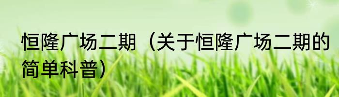 恒隆广场二期（关于恒隆广场二期的简单科普）