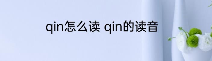 qin怎么读 qin的读音