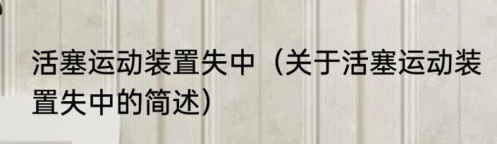 活塞运动装置失中（关于活塞运动装置失中的简述）