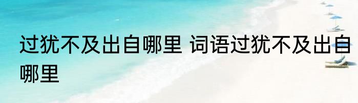 过犹不及出自哪里 词语过犹不及出自哪里