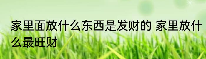 家里面放什么东西是发财的 家里放什么最旺财
