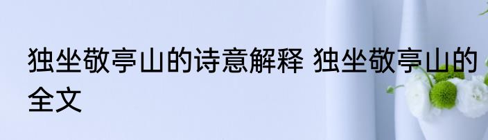 独坐敬亭山的诗意解释 独坐敬亭山的全文
