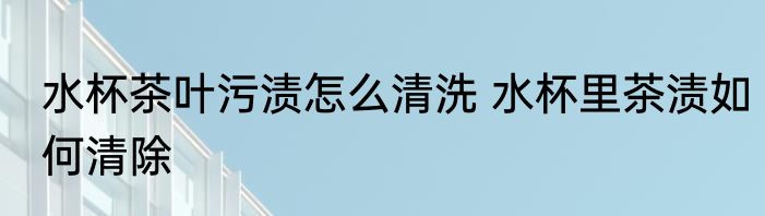 水杯茶叶污渍怎么清洗 水杯里茶渍如何清除