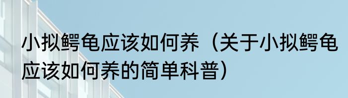 小拟鳄龟应该如何养（关于小拟鳄龟应该如何养的简单科普）