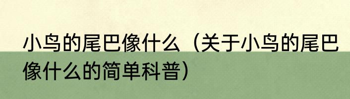 小鸟的尾巴像什么（关于小鸟的尾巴像什么的简单科普）