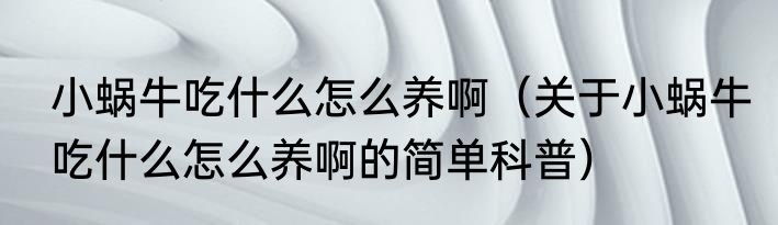 小蜗牛吃什么怎么养啊（关于小蜗牛吃什么怎么养啊的简单科普）
