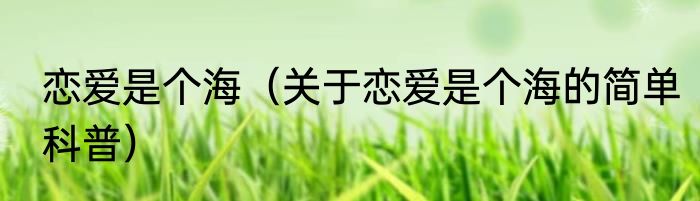 恋爱是个海（关于恋爱是个海的简单科普）