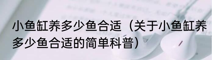 小鱼缸养多少鱼合适（关于小鱼缸养多少鱼合适的简单科普）