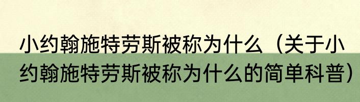 小约翰施特劳斯被称为什么（关于小约翰施特劳斯被称为什么的简单科普）