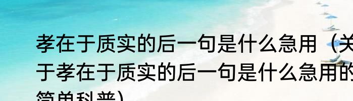 孝在于质实的后一句是什么急用（关于孝在于质实的后一句是什么急用的简单科普）