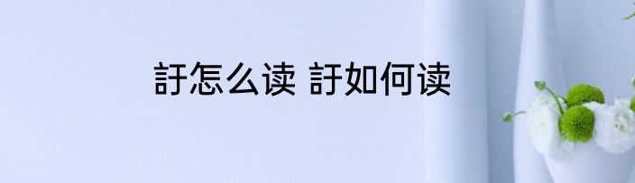 訏怎么读 訏如何读