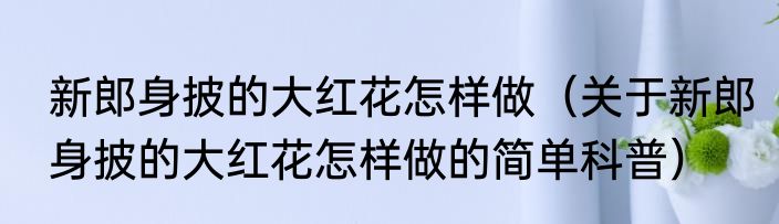 新郎身披的大红花怎样做（关于新郎身披的大红花怎样做的简单科普）