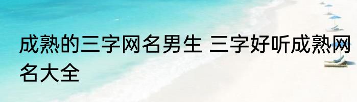 成熟的三字网名男生 三字好听成熟网名大全