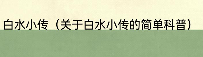 白水小传（关于白水小传的简单科普）