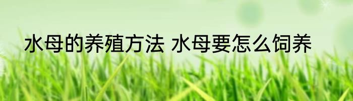 水母的养殖方法 水母要怎么饲养