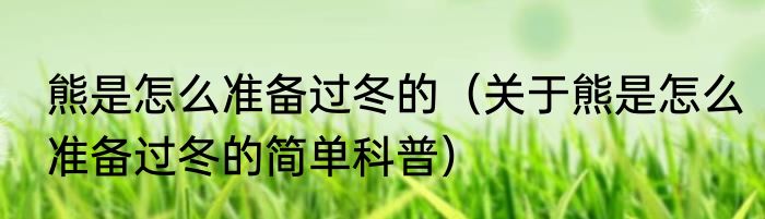 熊是怎么准备过冬的（关于熊是怎么准备过冬的简单科普）